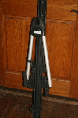 Thule big mouth - thule, upright