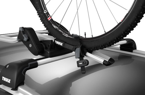 Thule wheel strap locks - strap,